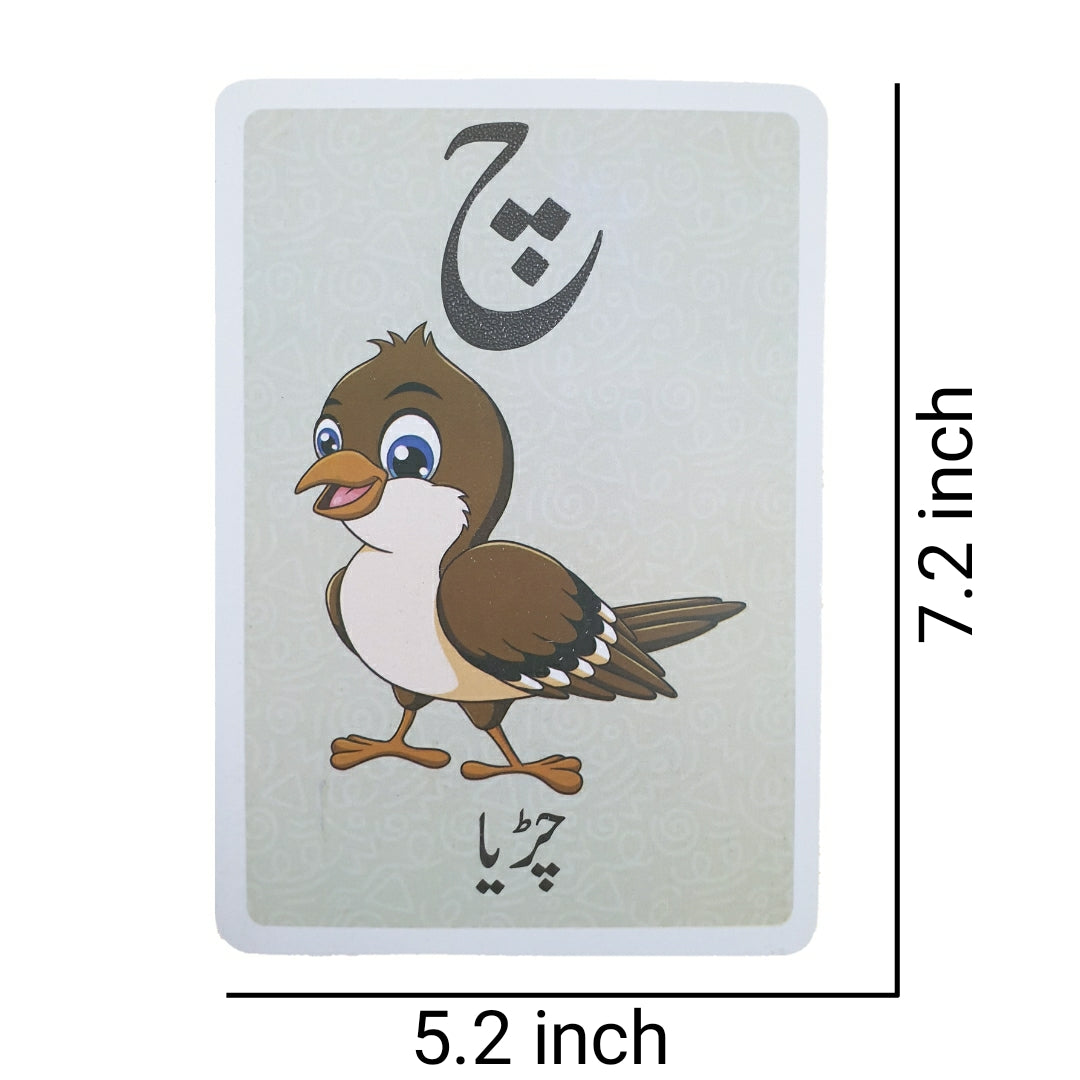 3-in-1 Flashcards Combo - Perfect Early Learning Pack for Kids