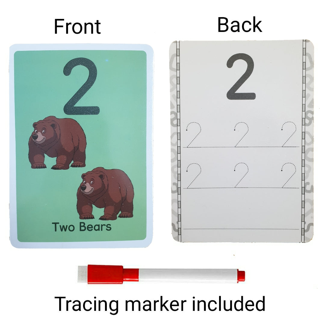 6-in-1 Flash Cards Learning Bundle – The Ultimate Starter Pack