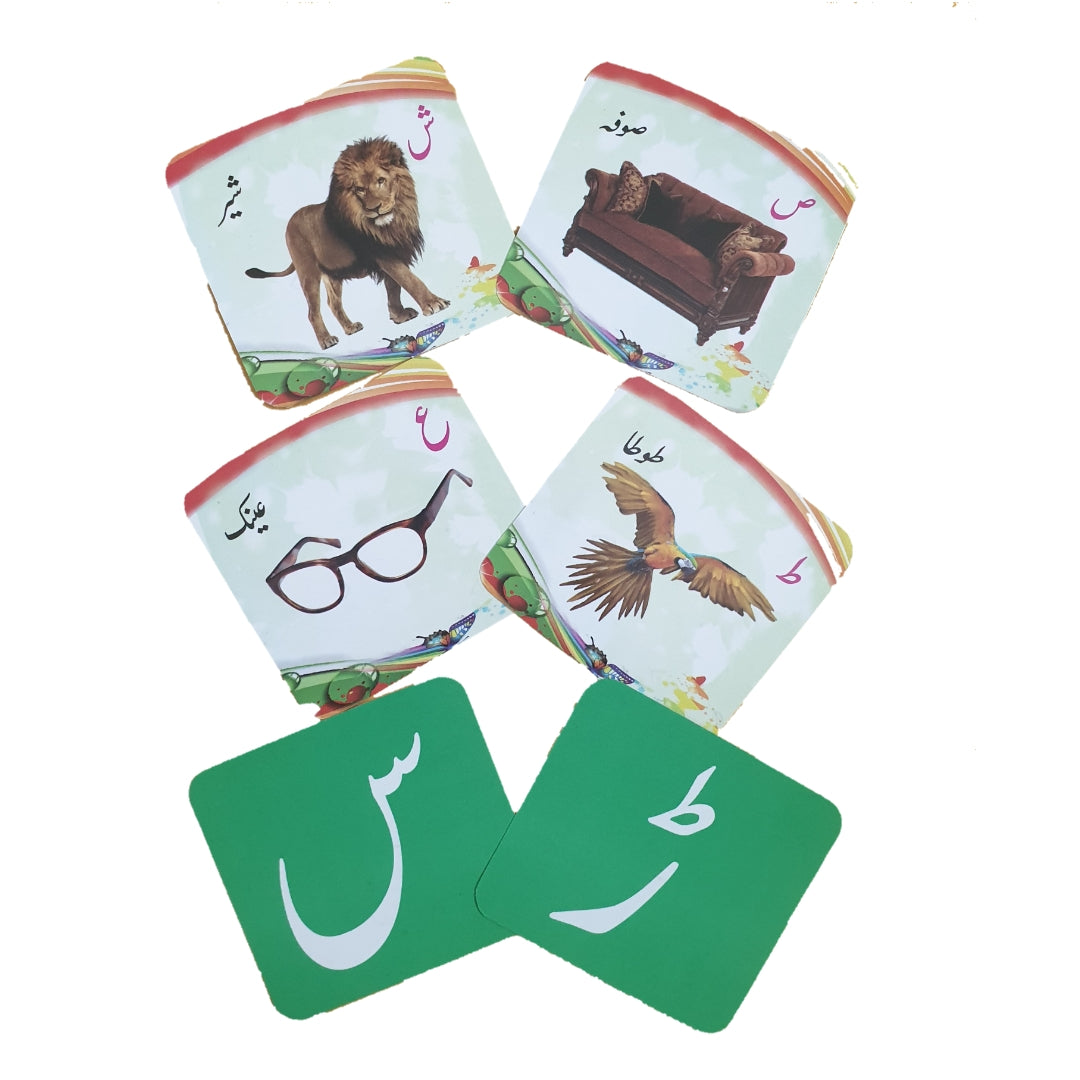 All-in-One Educational 10 Flashcards Combo for Young Learners