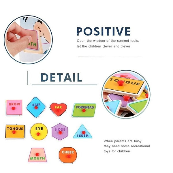 Wooden Face Parts Sorting Peg Puzzle Pin Board-Boy