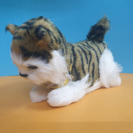 (D&R) Cute Electric Musical Plush Cat (Circuit Issue)