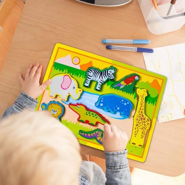 Wooden 3D Interactive Sorting Educational Boards